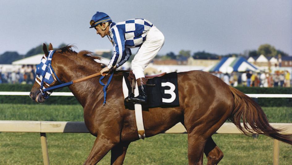 Epic Rivals: Icons of the Racetrack