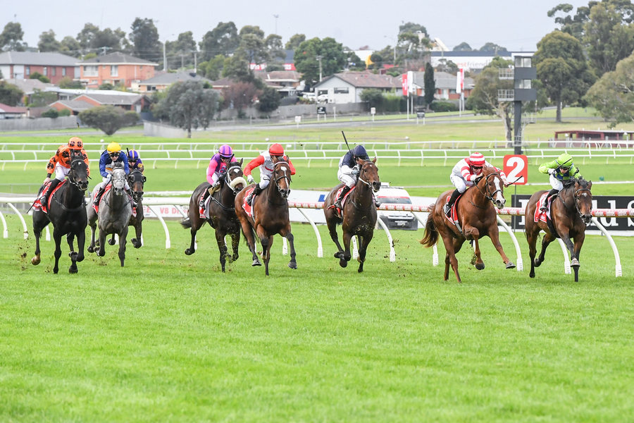 FREE: Sandown Lakeside Tip Sheet & Staking Plan: Wednesday 17th July