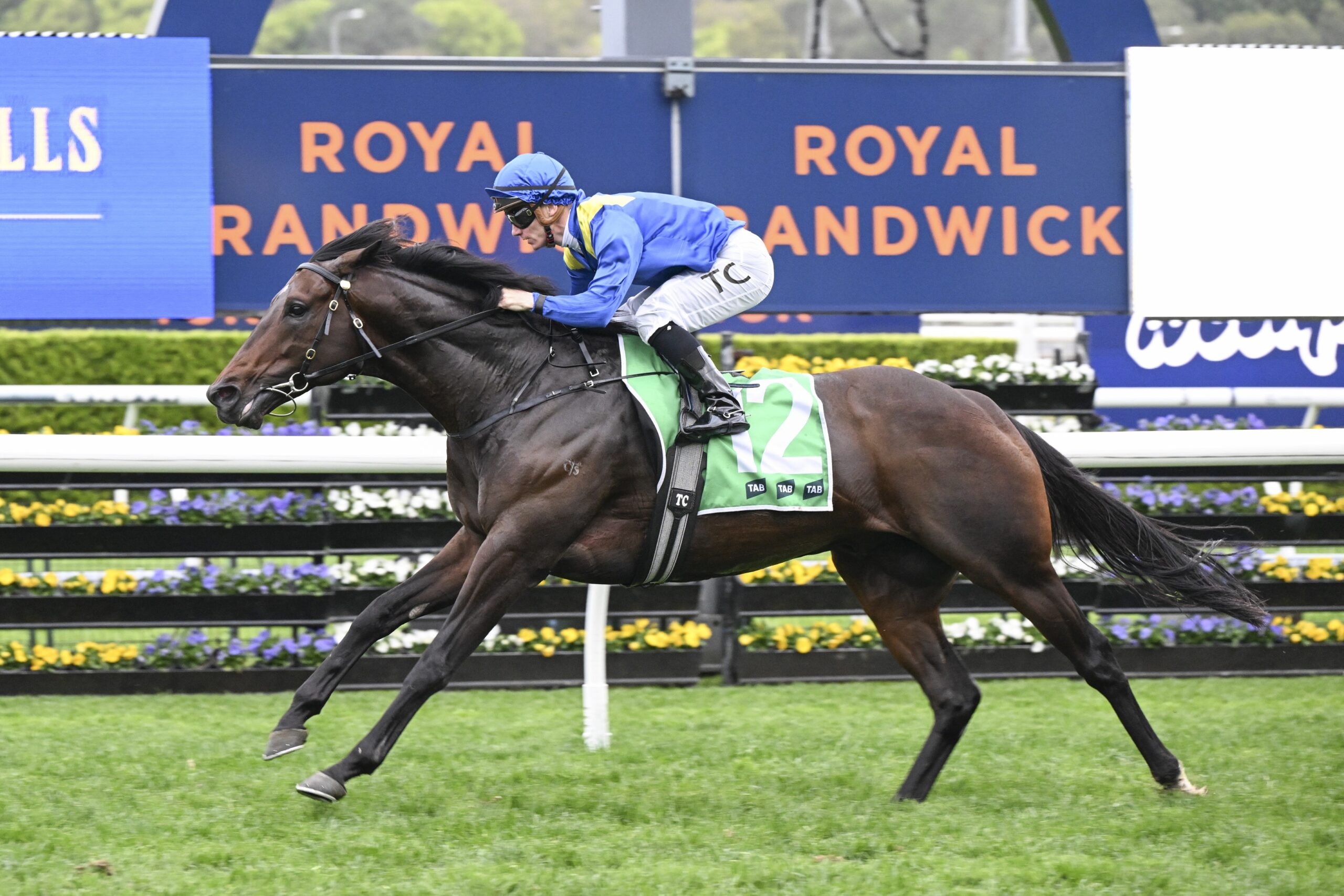 FREE: Randwick Selections: Saturday 5th October