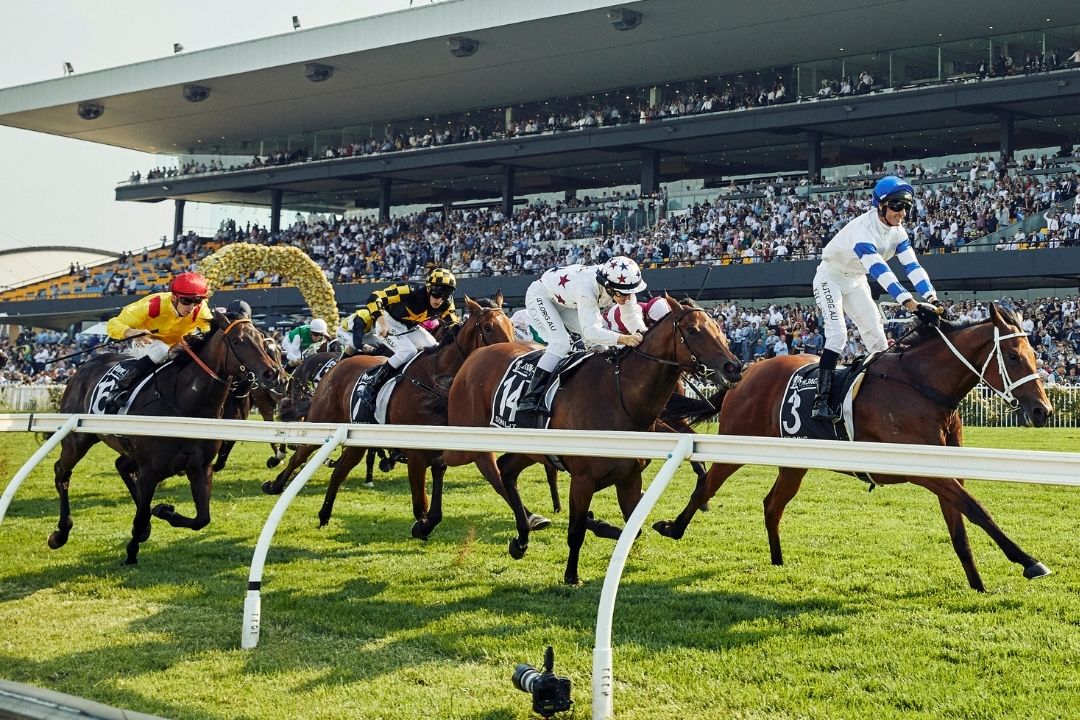 FREE: Rosehill Tip Sheet & Staking Plan: Saturday 1st February