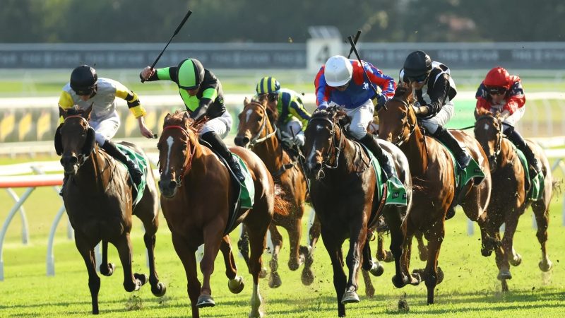 Black Book: Horses You Must Follow From Randwick & Doomben