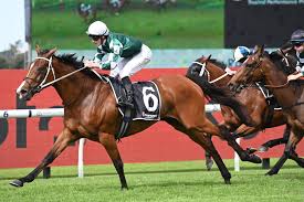 FREE: Randwick Tip Sheet & Staking Plan: Saturday 1st March