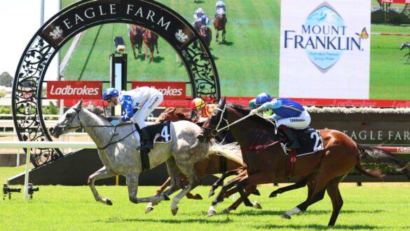 Rated To Win: A Horse We Rated Ready To Win – Eagle Farm 31/5