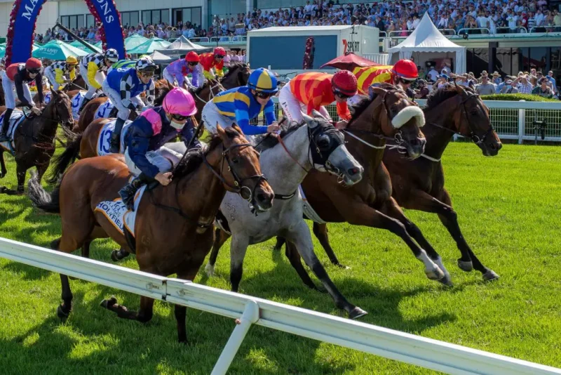 Rated To Win: A Horse We Rated Ready To Win At Gold Coast 23/5