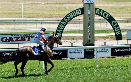 FREE: Hawkesbury Tip Sheet & Staking Plan: Saturday 3rd May