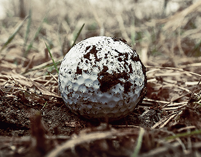 Should golfers be allowed to clean mud off their golf balls?