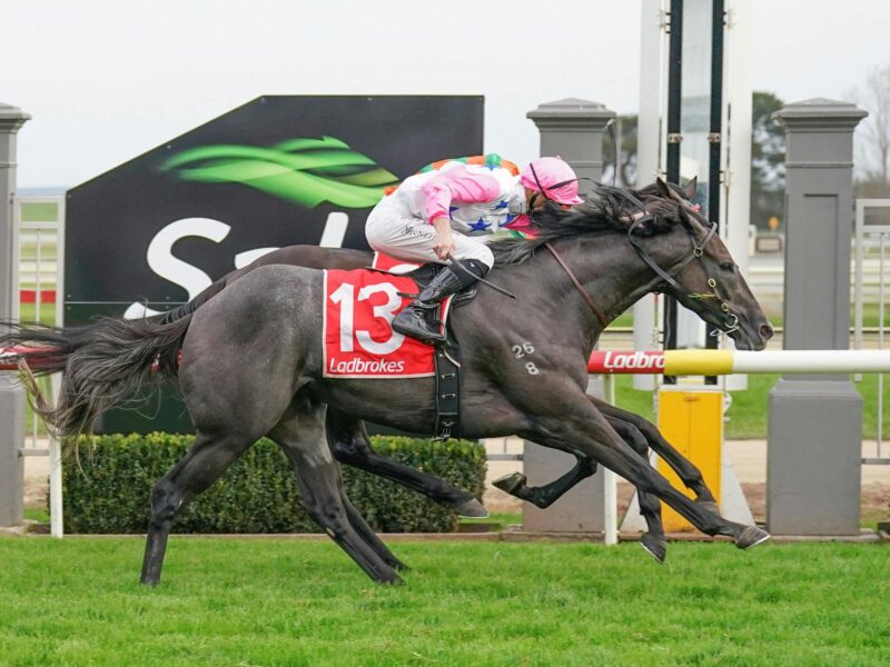 Racing Tips: Our Sunday Special 6/7