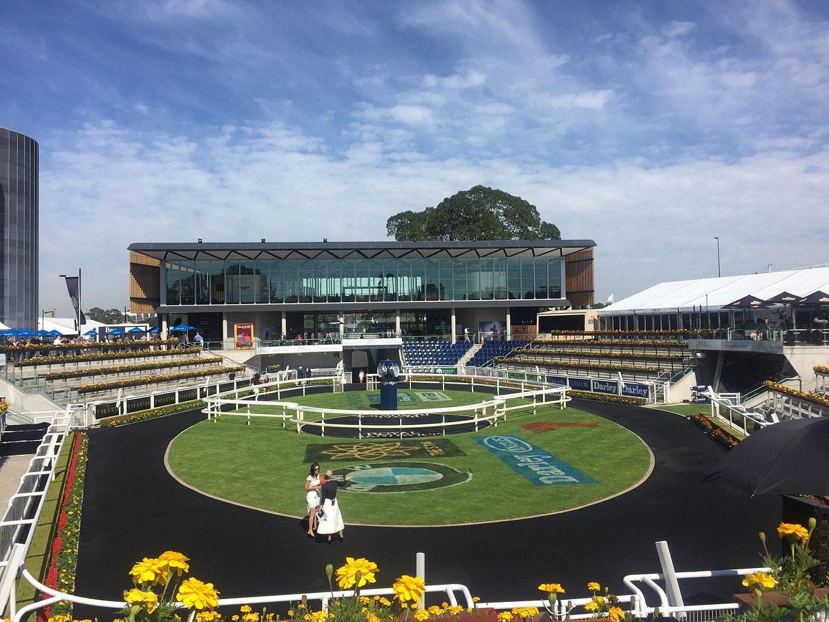 RACING: Randwick Tips – Saturday 12th July