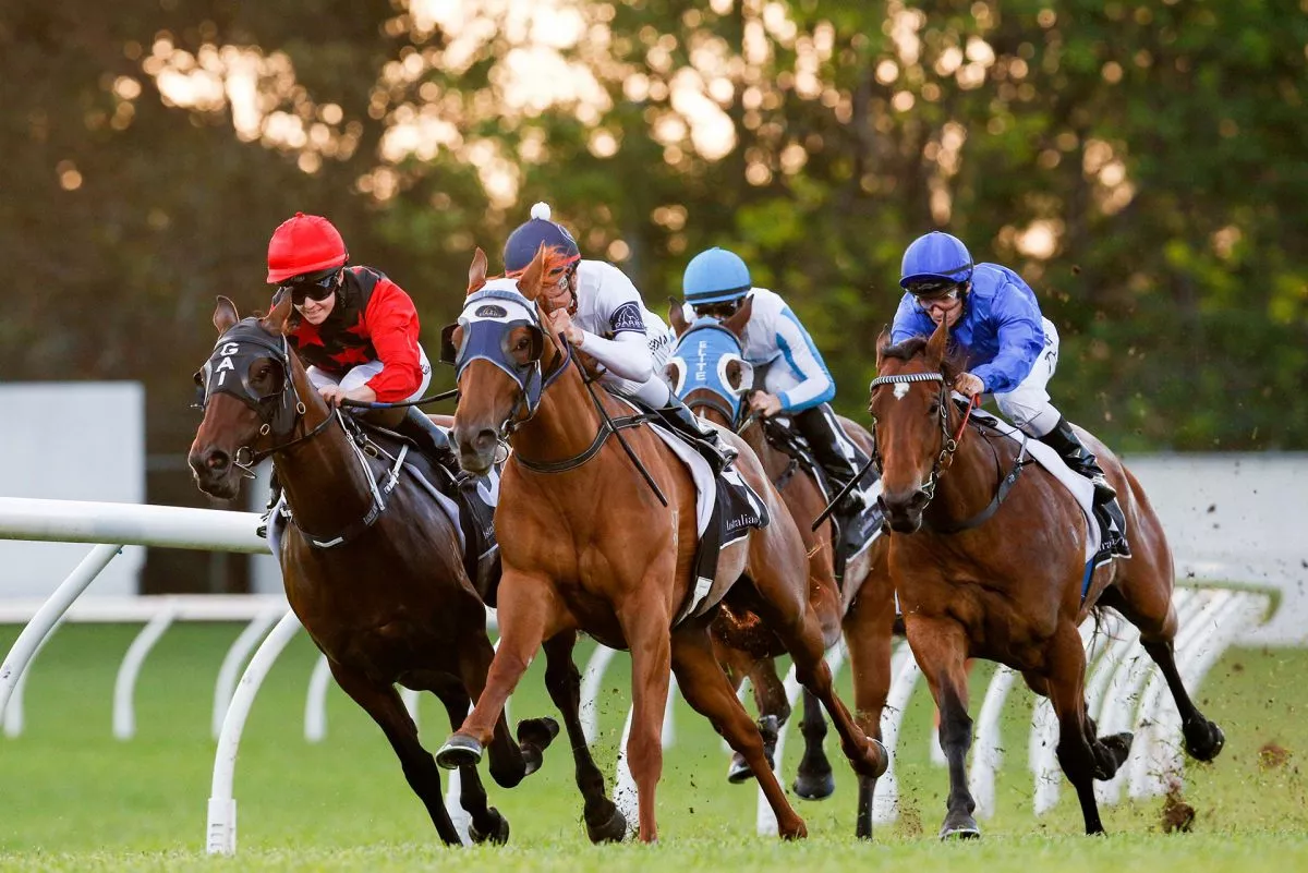 FREE: Canterbury Tip Sheet & Staking Plan: Wednesday 6th August