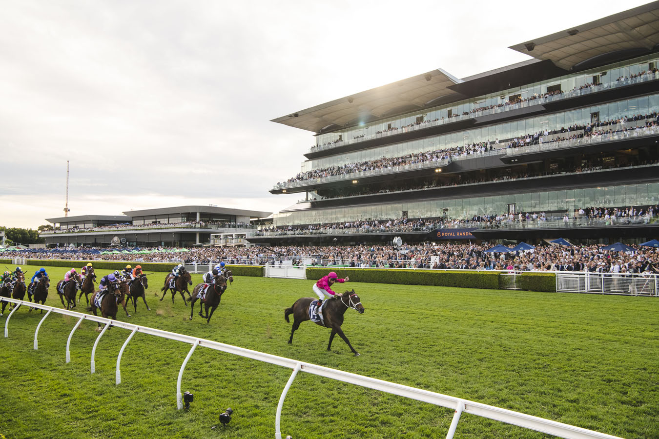 RACING: Randwick Tips – Saturday 9th August