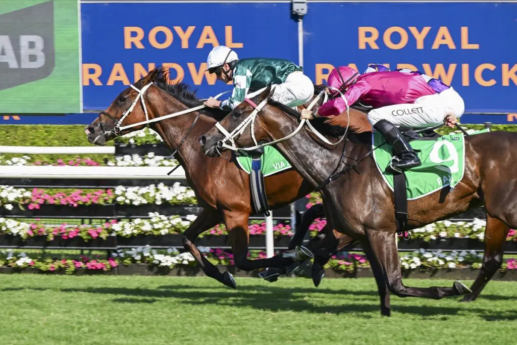 RACING: Randwick Tips – Saturday 23rd August