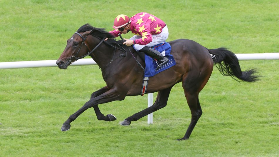European Trainers Aiming Talented Stayers at the 2025 Melbourne Cup