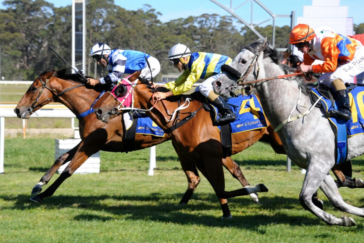 RACING: Tuesday Specials 16/9