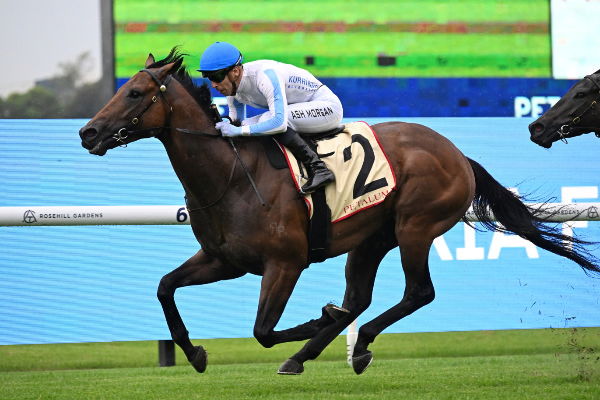 Will Yu Long Investments Stick With Private Harry For The Everest?