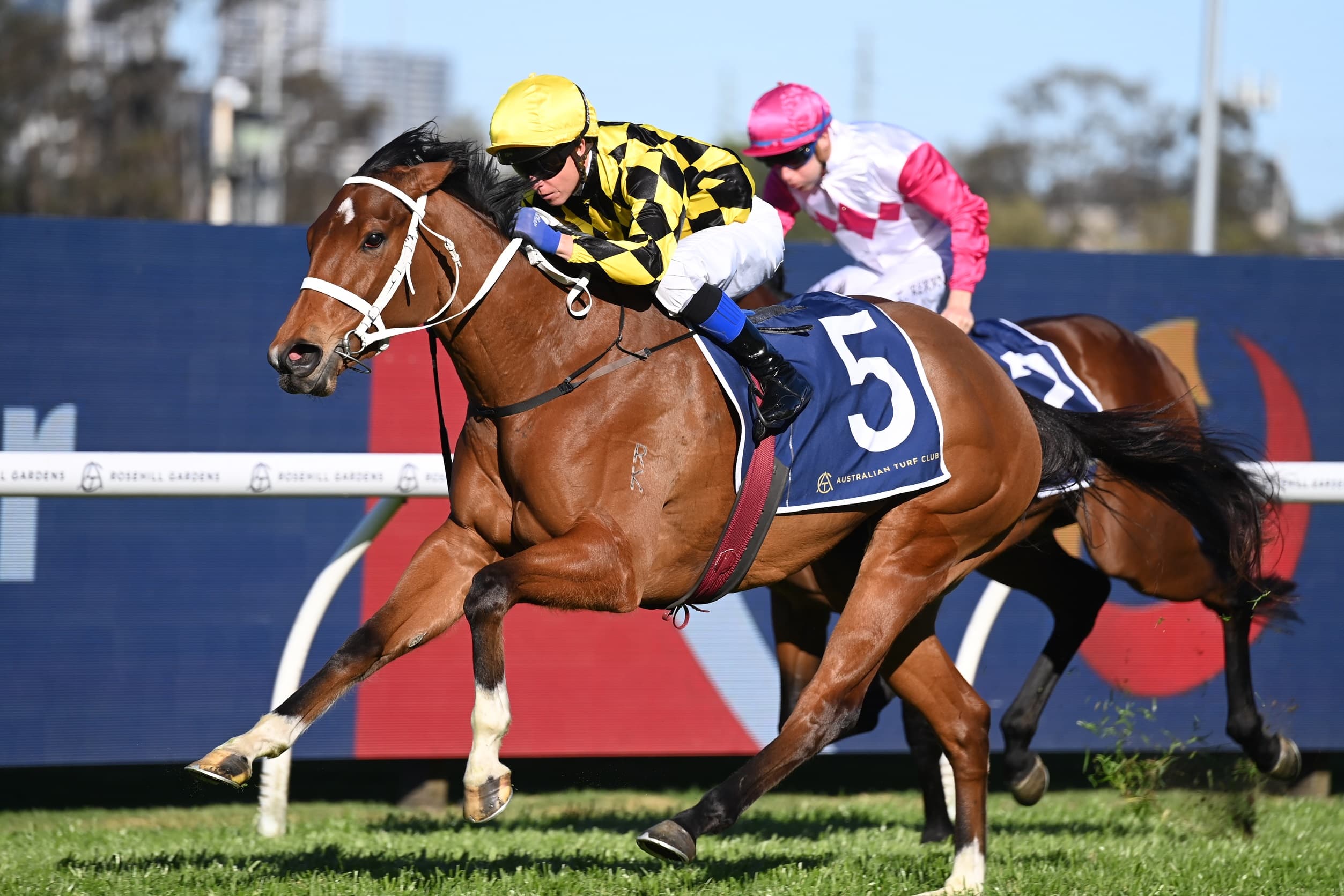 RACING: Randwick Tips – Saturday 1st November