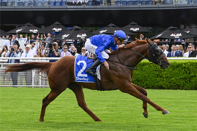 Coolmore Stud Stakes: Every Runner Breakdown, Tips, and Predicted Finishing Order