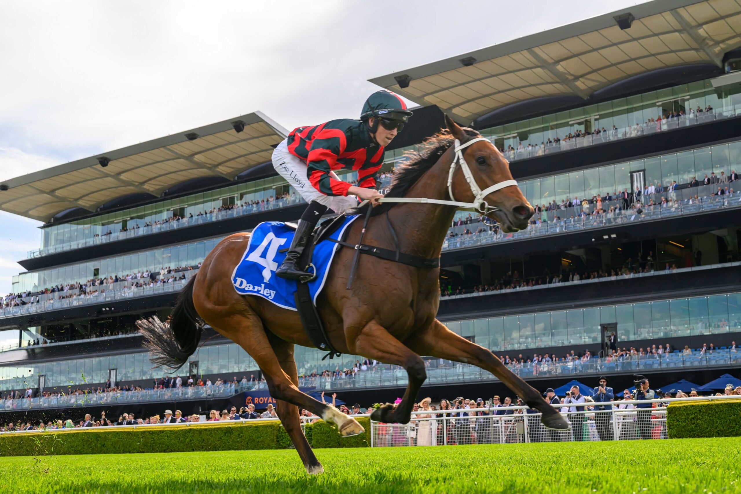 The Everest: Every Runner Breakdown, Tips, and Predicted Finishing Order