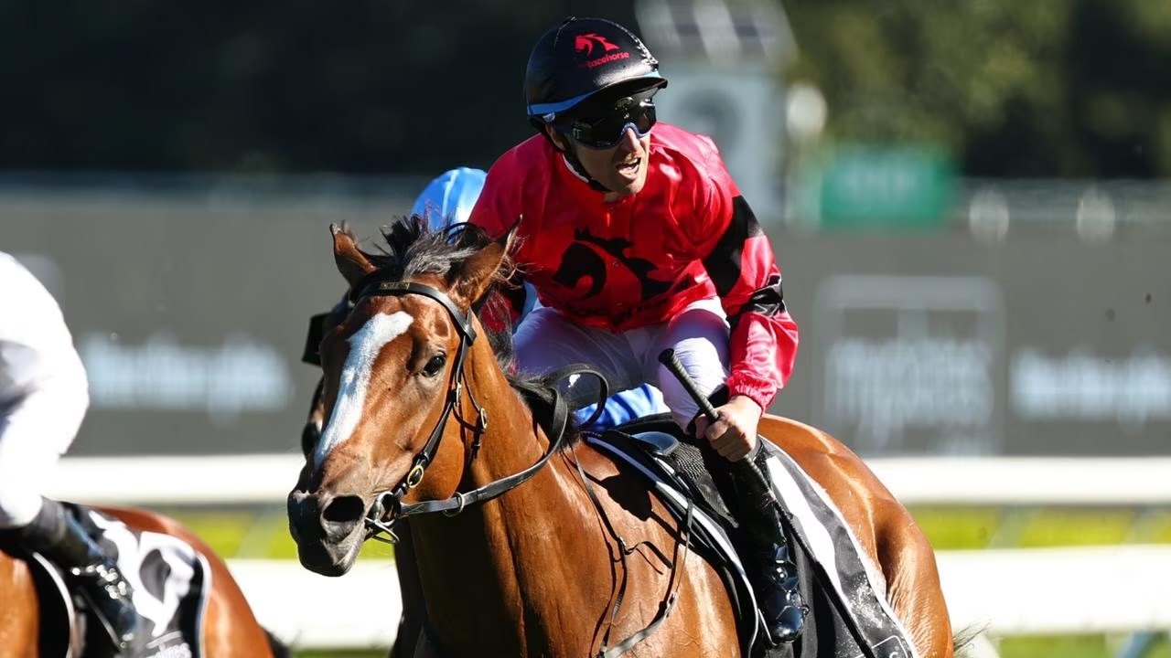 WATCH: Tommy Berry on Apocalyptic’s G1 Mile Test