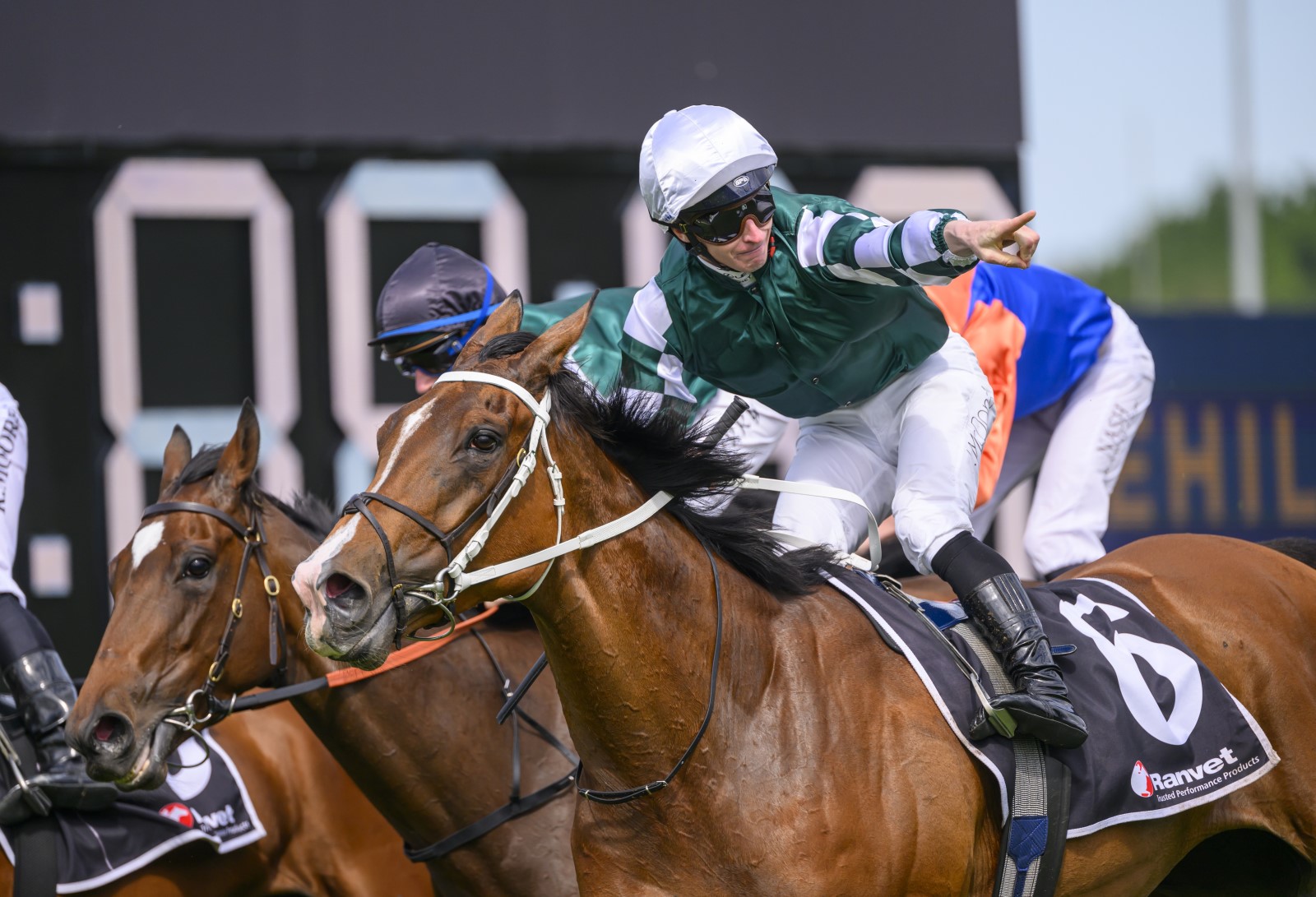 RACING: Rosehill & Caulfield Specials From The Vault 11/10