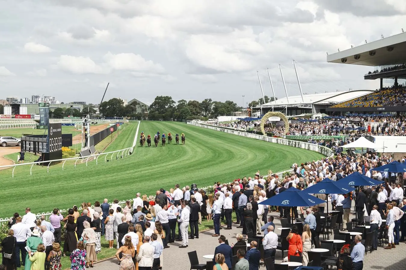 RACING: Rosehill Tips – Saturday 29th November