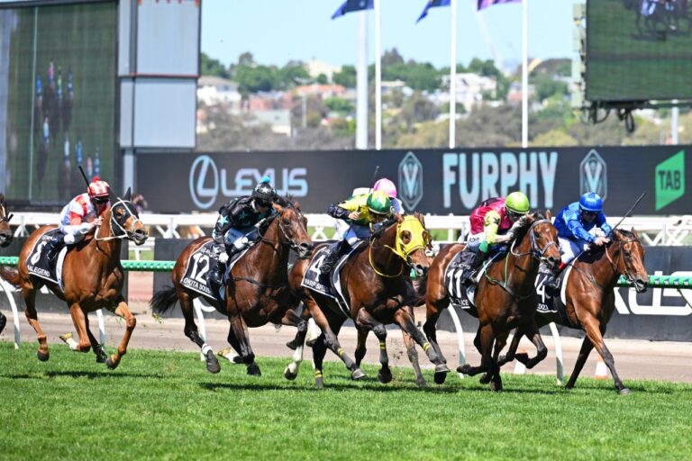 2025 Melbourne Cup Best Selection & Value Play