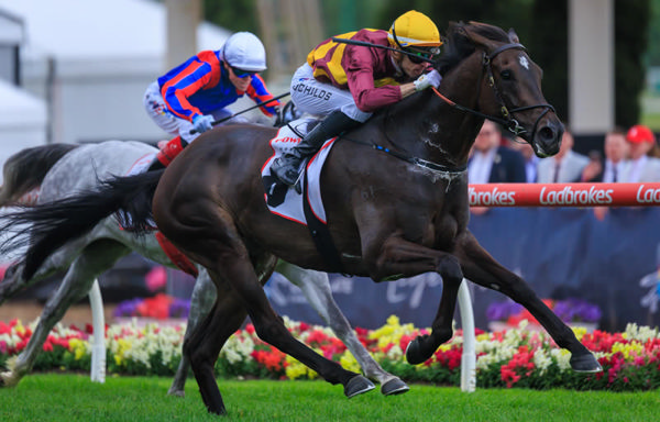 SHE’S READY TO HUSTLE AS A STAYER