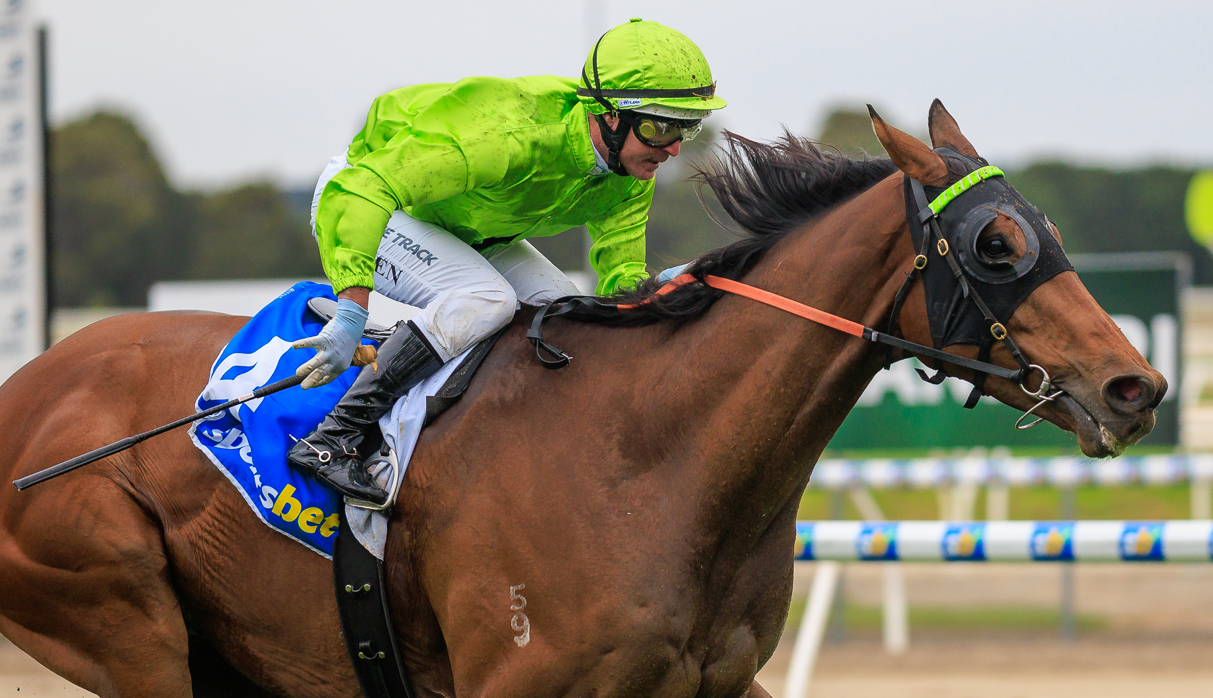 BERKELEY’S BACK AT BALLARAT