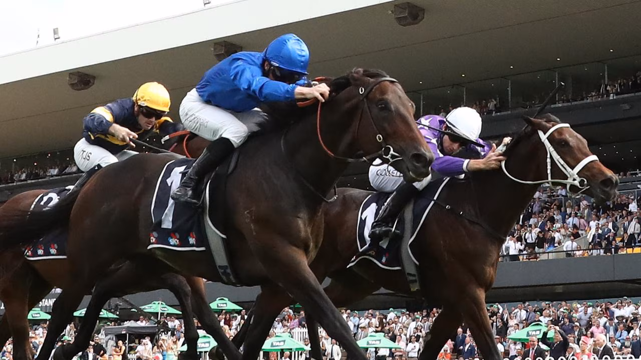 RACING: Rosehill Specials From The Vault 7/12