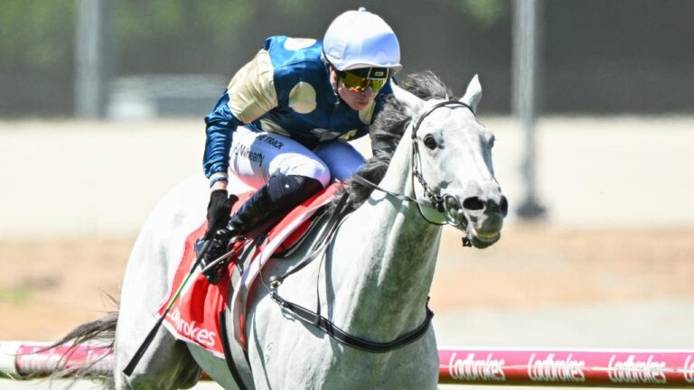 WHEARTY OUT TO FURTHER FLEMINGTON SUCCESS