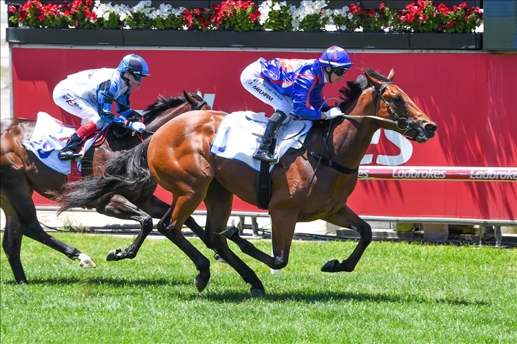 PRICE OPTS FOR GUEST HOUSE AS DIAMOND ACE