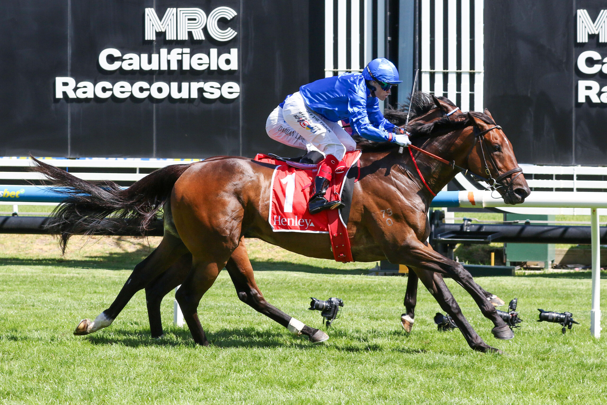 TOM KITTEN PURRS ON RETURN