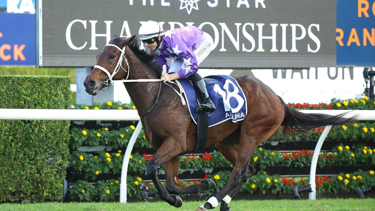 RACING: Rosehill Tips – Saturday 28th March