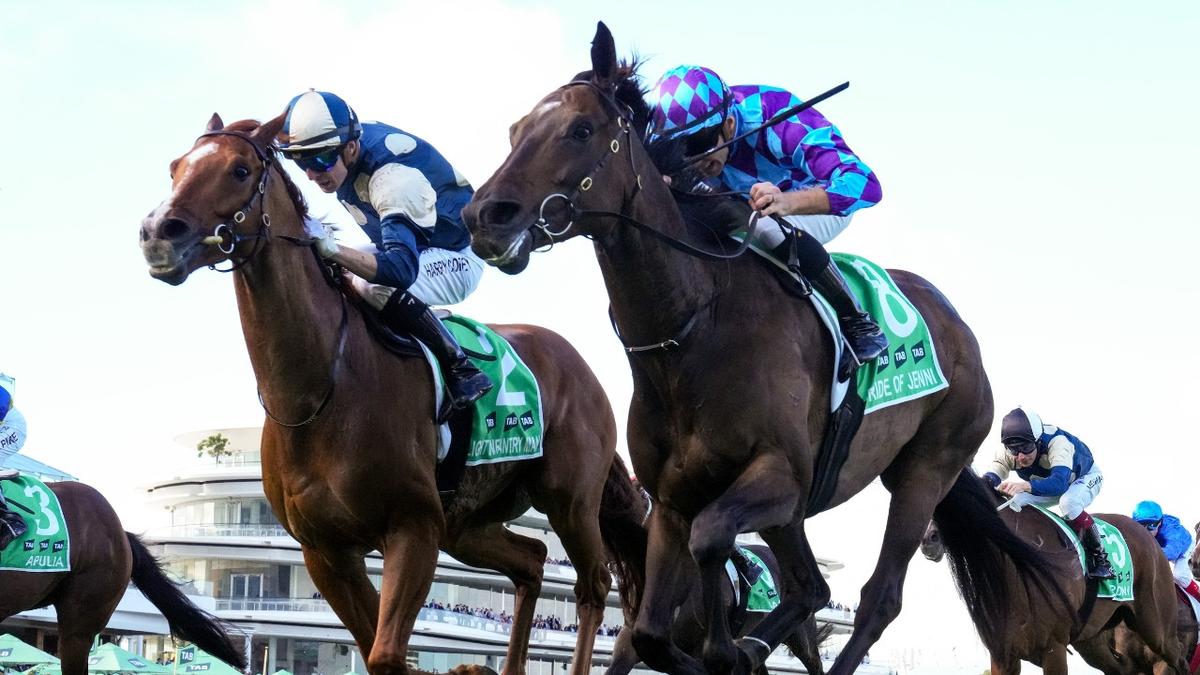 PRIDE OF JENNI COURAGEOUS IN DEFEAT