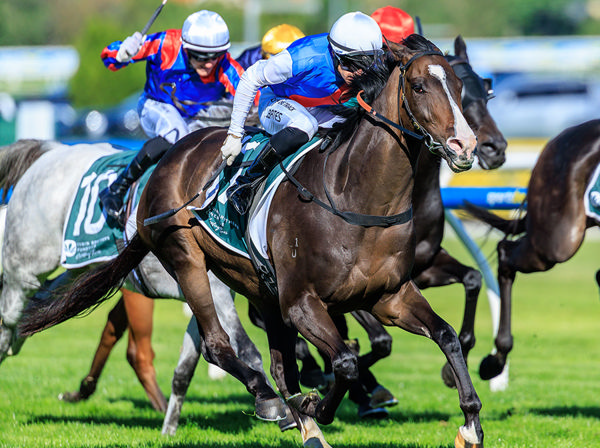 WISE MOVE BY MCEVOY PAYS OFF