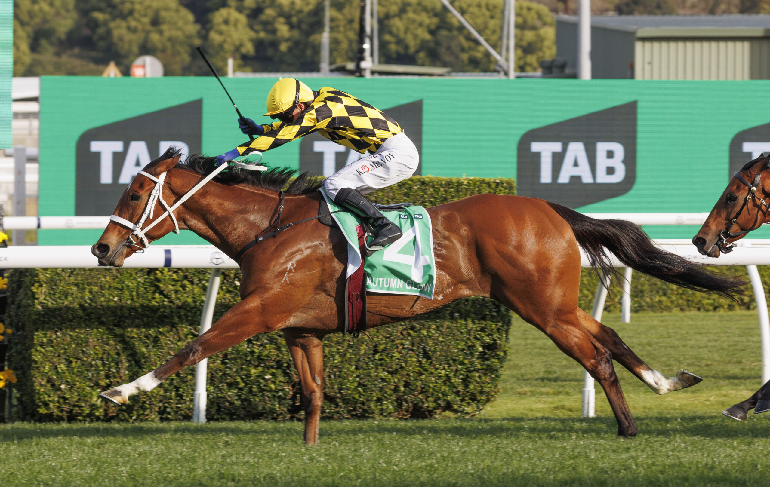 RACING: Randwick Tips – Saturday 11th April