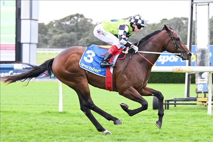 BUGGSY READY TO FLY AT CAULFIELD