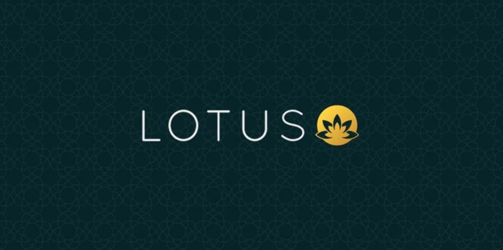 How Lotus 365 Organizes Live Sports Data and Match Updates