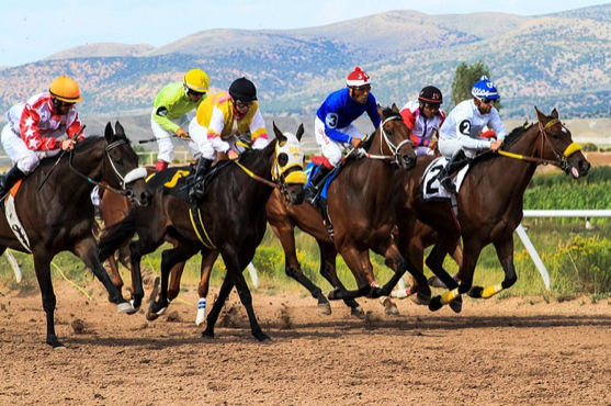 Key Betting Trends Emerging Across Global Horse Racing