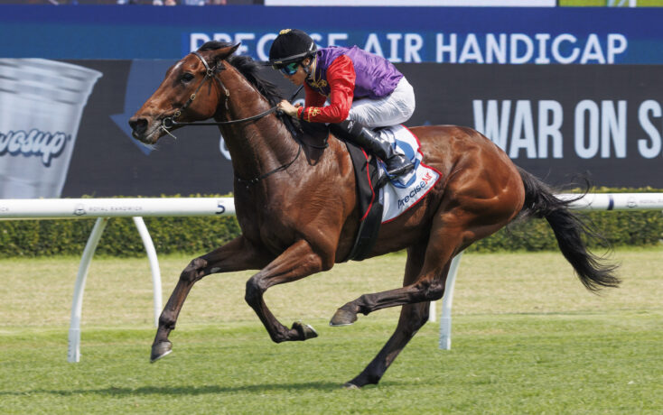 MELBOURNE CUP CAMPAIGN KICKS OFF FOR THE KING’S STAYER