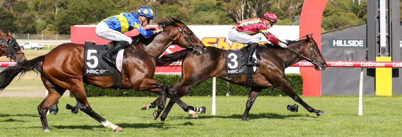 RACING: Sandown Hillside Tips – Saturday 23rd May