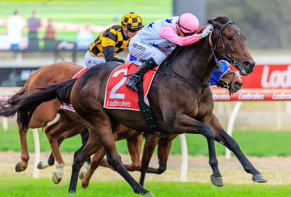 VON HAUKE’S GOLDEN BENDIGO WIN