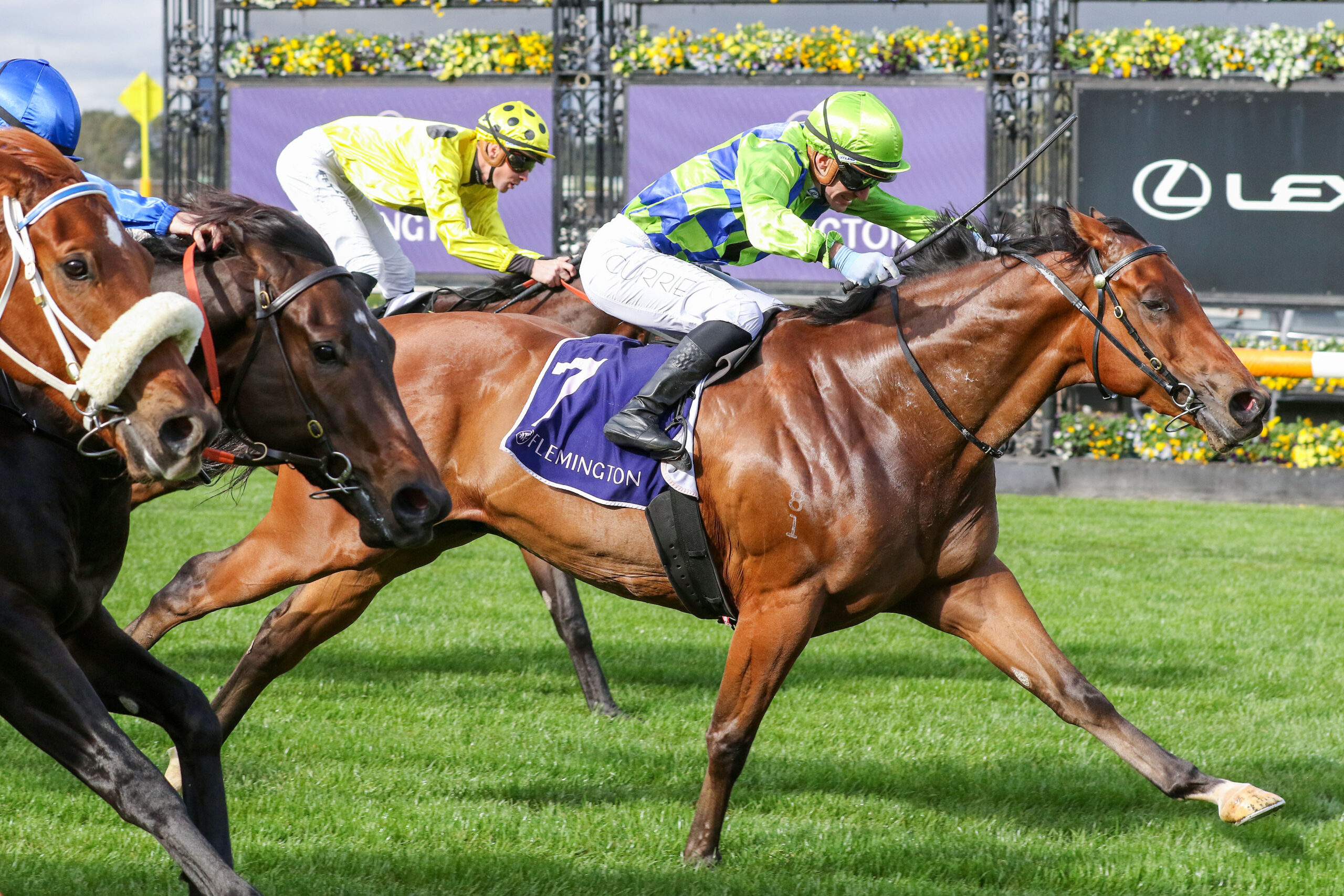 IT’S NO WONDER HE’S BACK AT BENDIGO