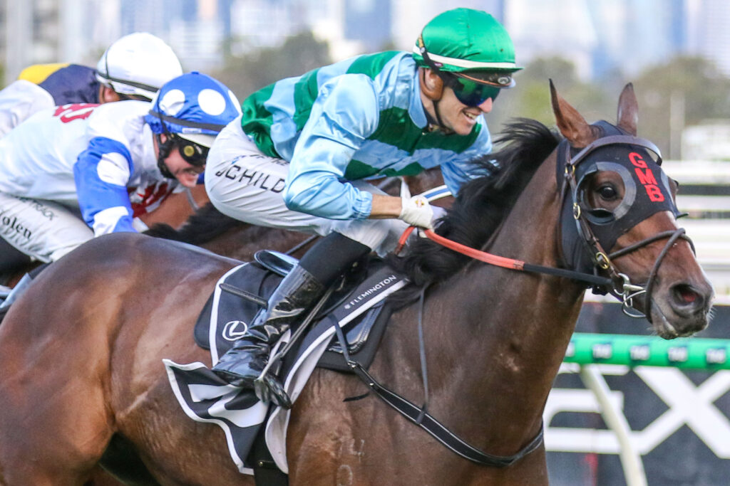 ZAKOUMA IS MELBOURNE CUP BOUND