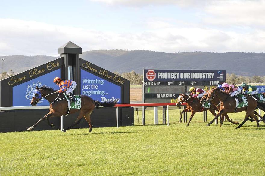 RACING: Scone Tips – Saturday 16th May